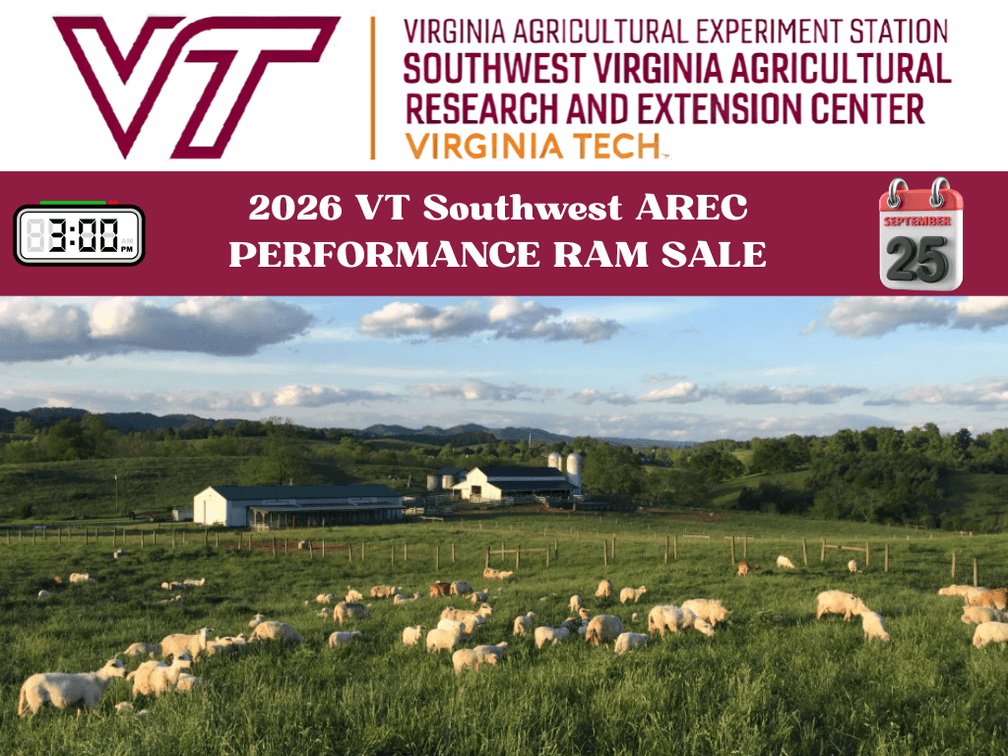 Image for 2026 | VT Southwest AREC- 14th Annual Ram Sale