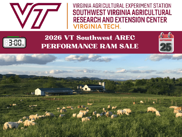 Image for 2026 | VT Southwest AREC- 14th Annual Ram Sale