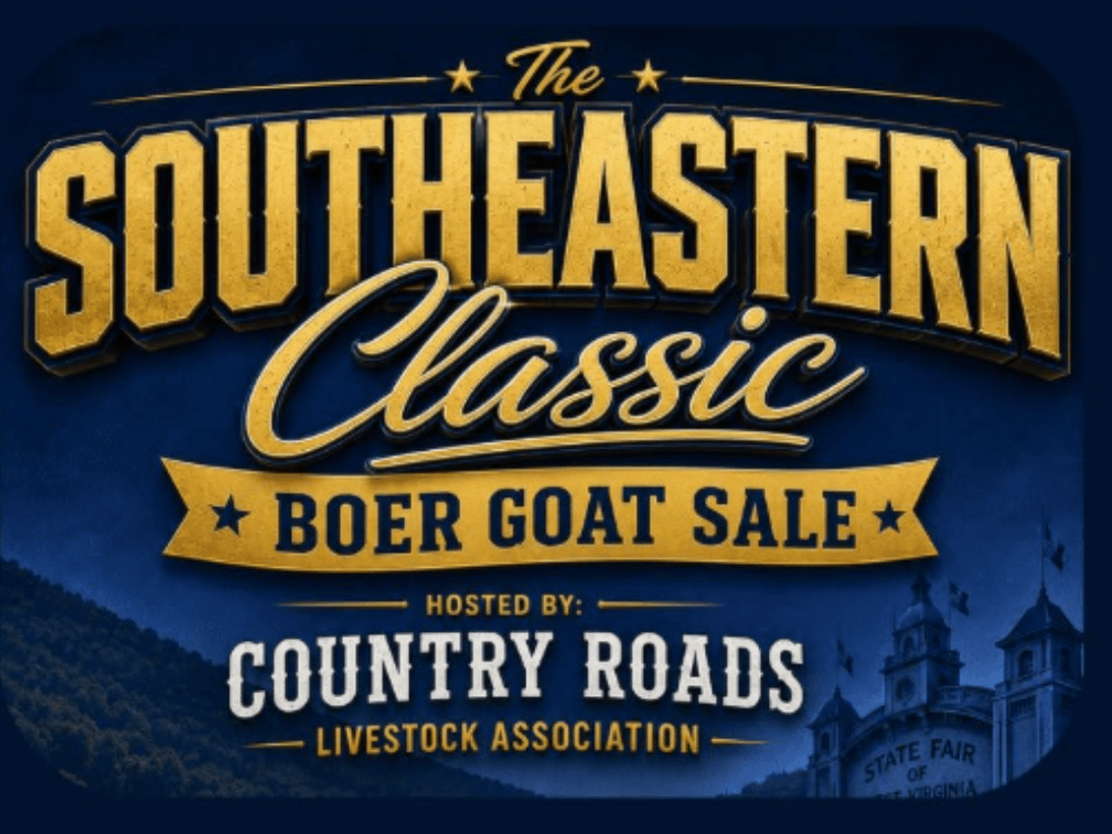 Image for 2026 | Southeastern Classic Sale