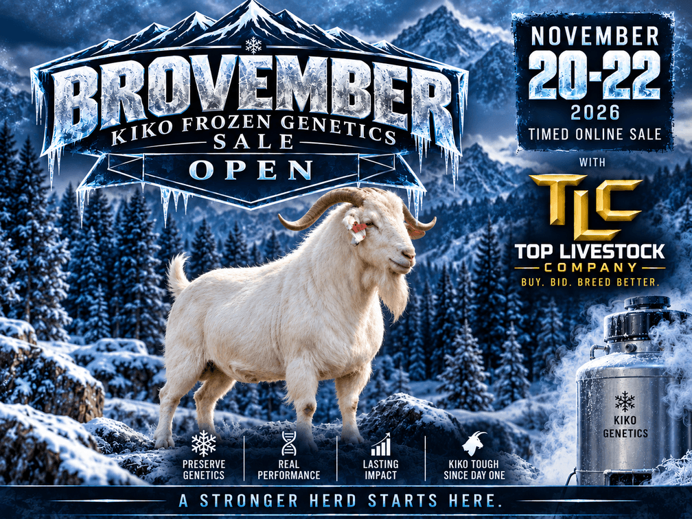 Image for 2026 | Brovember Kiko Frozen Genetics Sale
