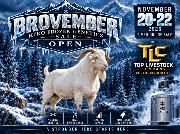 Image for 2026 | Brovember Kiko Frozen Genetics Sale