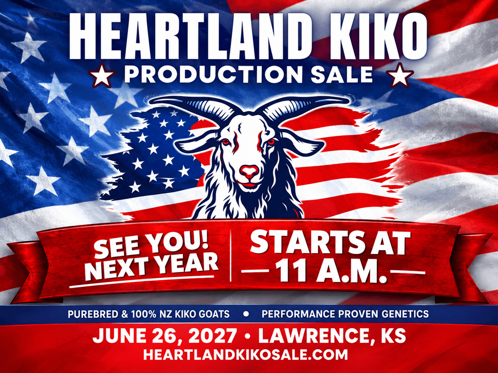 Image for 2027 | Heartland Kiko Production Sale