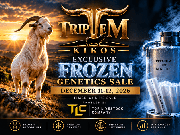 Image for 2026 | Triple M Kikos Exclusive Frozen Sale