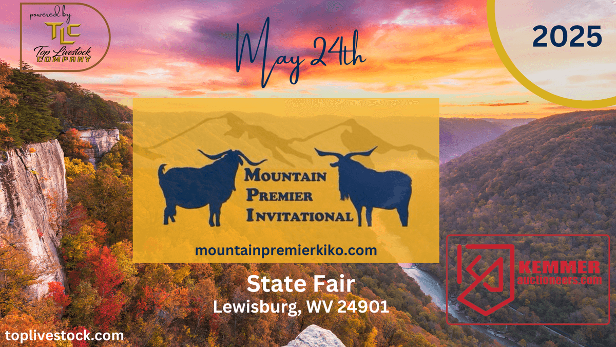 Image for 2025 | Mountain Premier Invitational