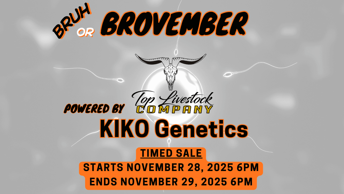 Image for 2025 | Brovember- Kiko Genetics