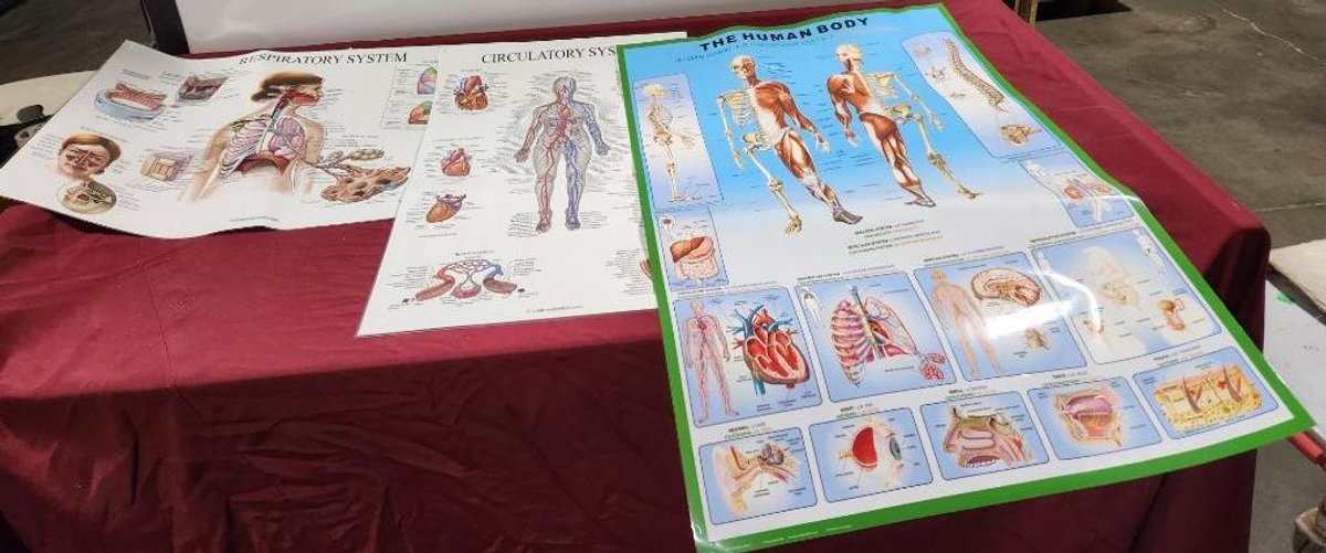 Image for Nurse & Medical Training Equipment - Omaha, NE
