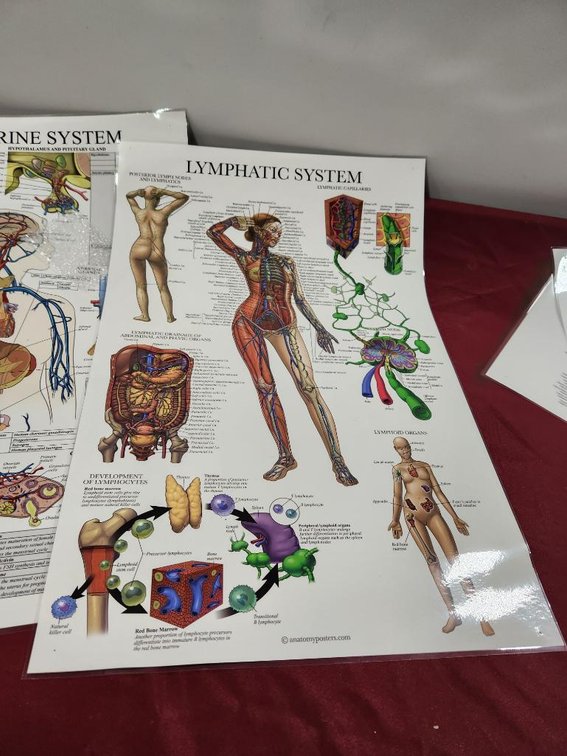 Image for Nurse & Medical Training Equipment - Omaha, NE