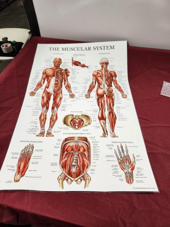 Image for Nurse & Medical Training Equipment - Omaha, NE