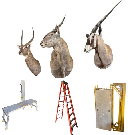 Image for Aksarben Fence Co. Annual Industrial, Firearms & African Mounts Timed-Auction