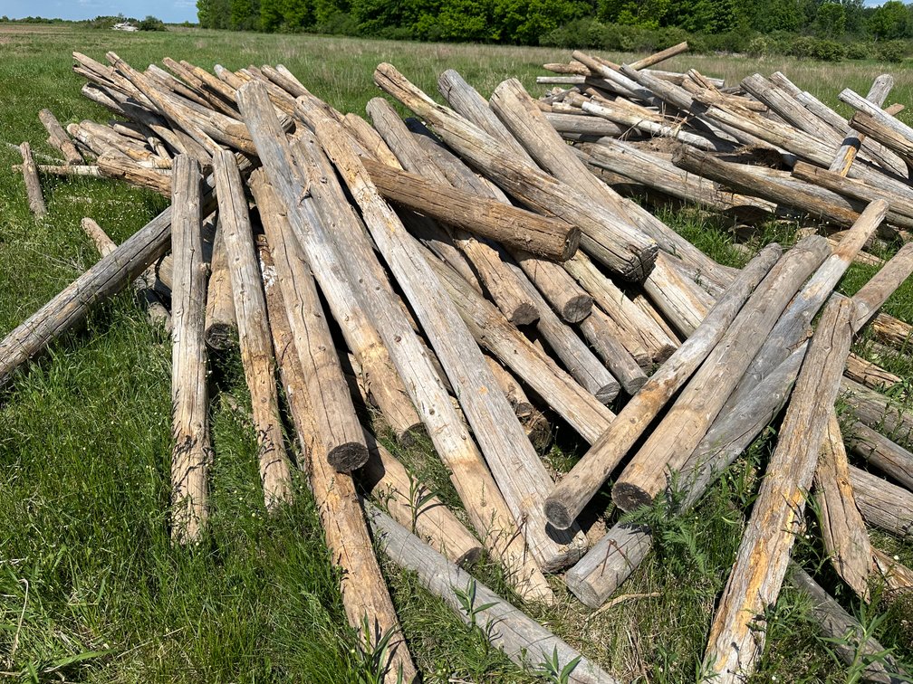 Image for Ginseng Equipment Auction