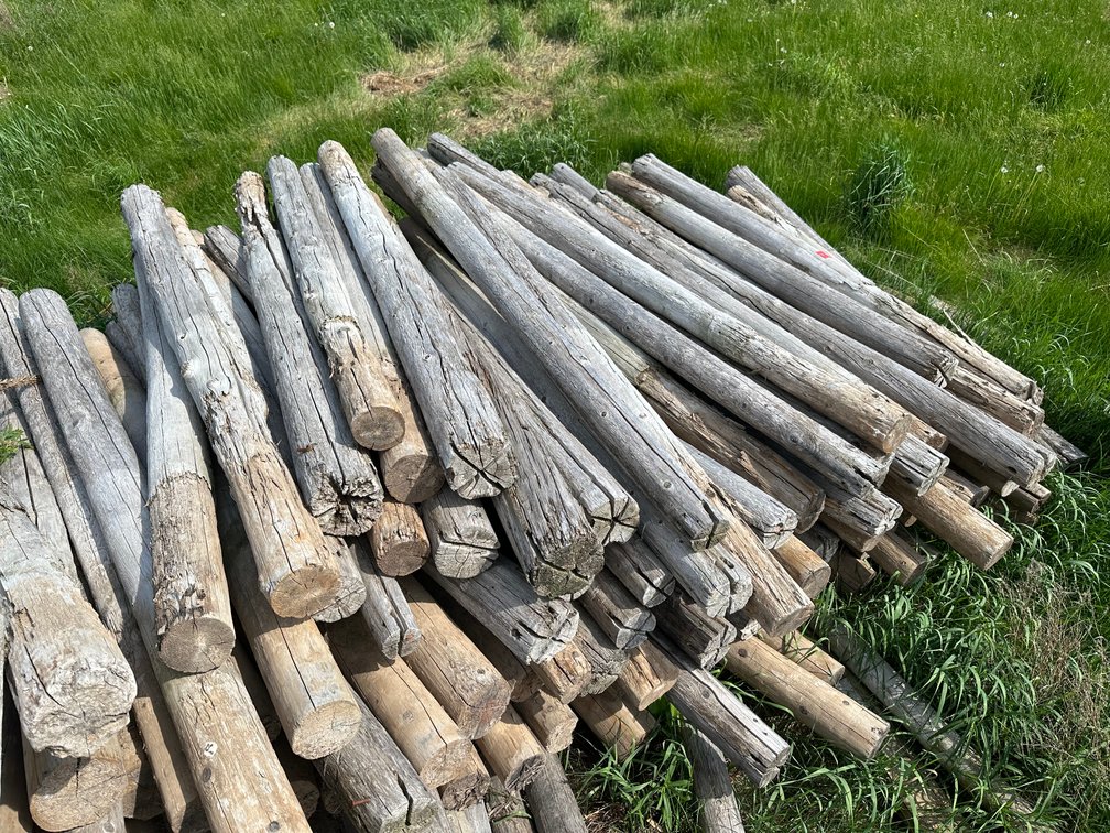 Image for Ginseng Equipment Auction