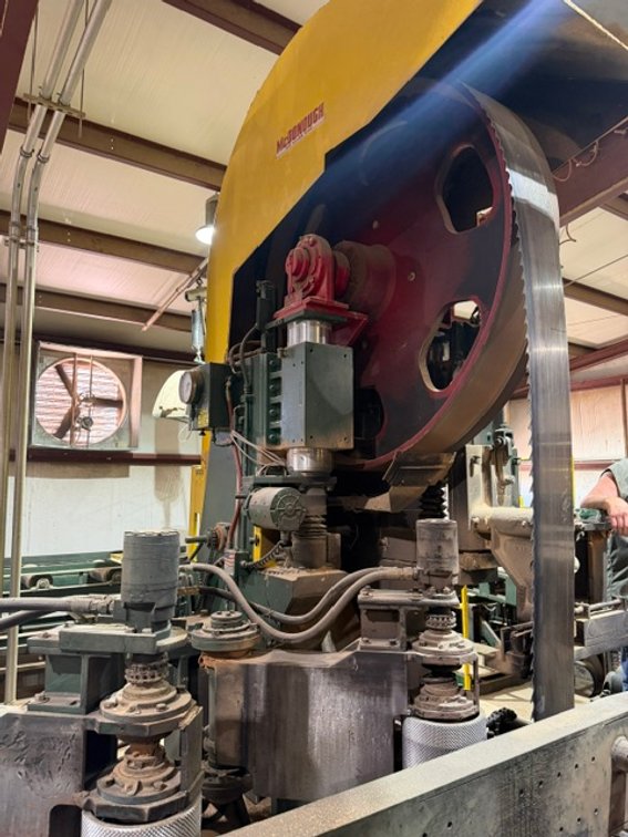 Image for NELSON FOREST INDUSTRIES