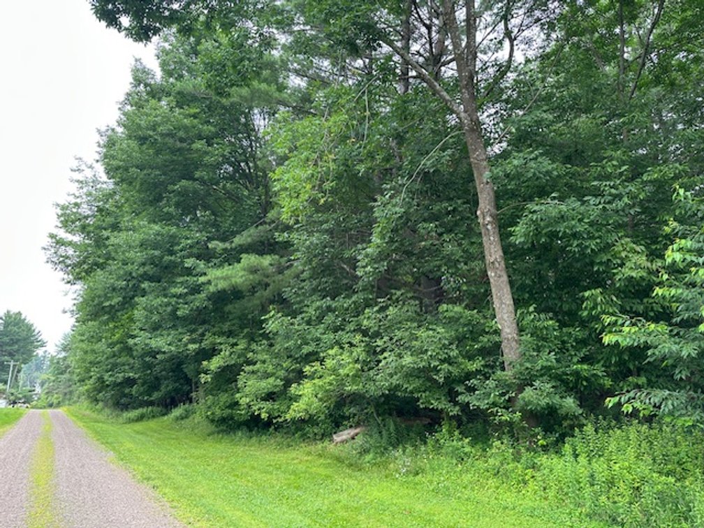 Image for St. John Evangelical Lutheran Church Land Auction