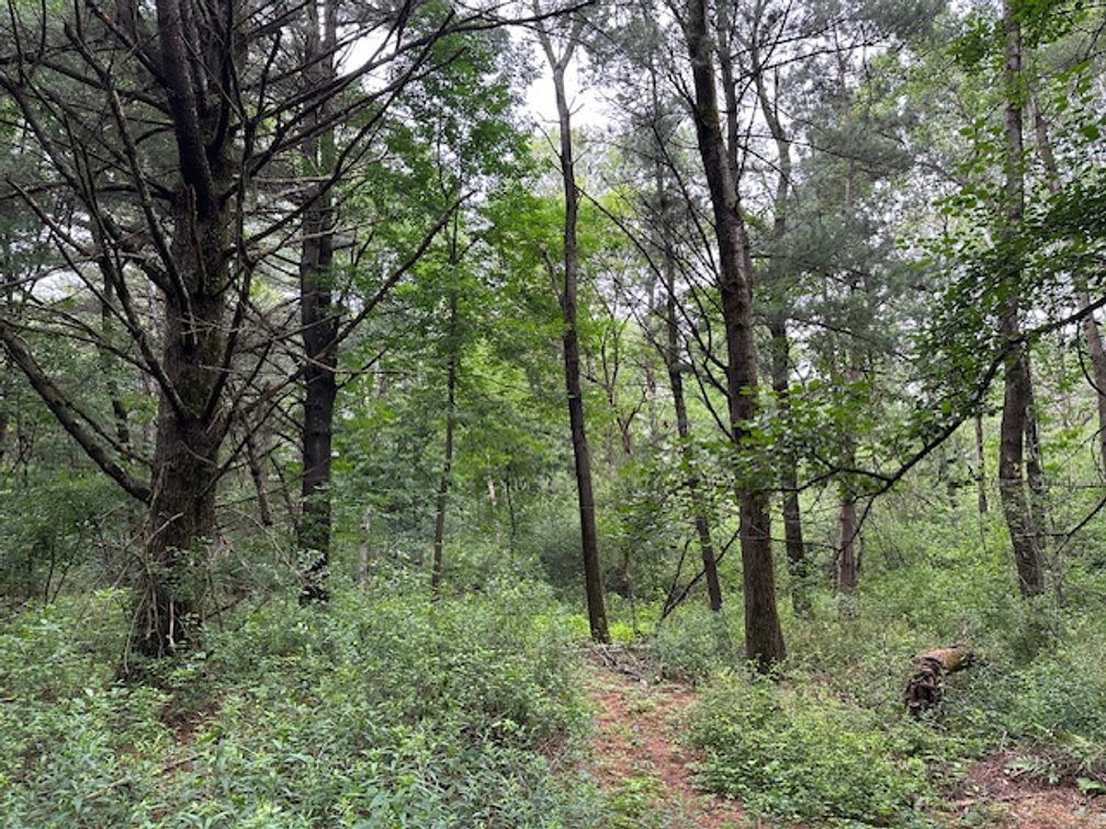 Image for St. John Evangelical Lutheran Church Land Auction