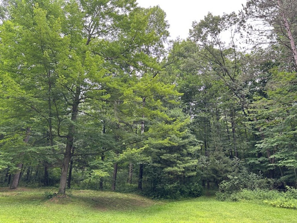 Image for St. John Evangelical Lutheran Church Land Auction