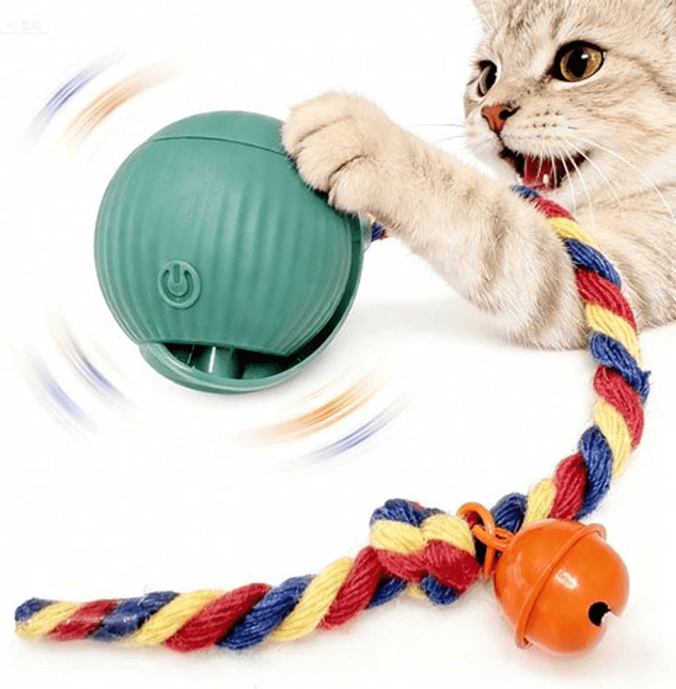 Image for Auction #509