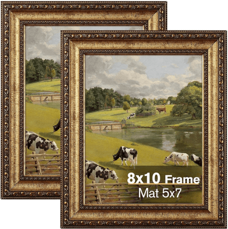 Image for Auction #251