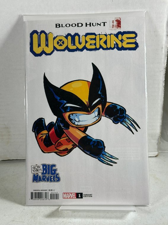 Image for COMICS & COLLECTIBLES - 600+ LOTS