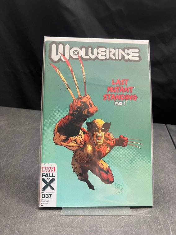 Image for COMICS & COLLECTIBLES - 500+ LOTS - ARTPRINTS, KEYS+