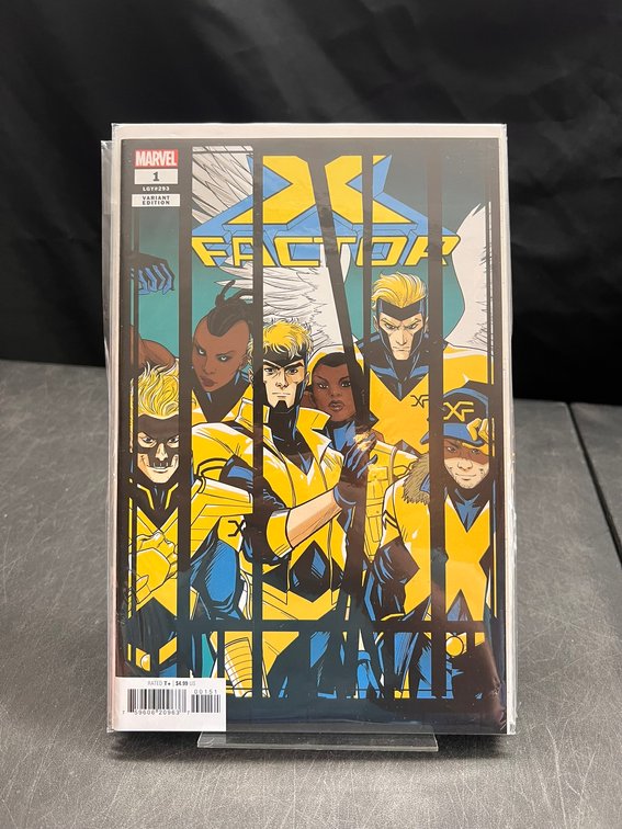 Image for COMICS & COLLECTIBLES - 500+ LOTS - ARTPRINTS, KEYS+