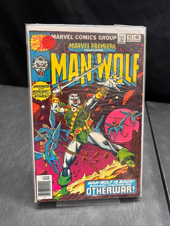 Image for COMICS & COLLECTIBLES - 500+ LOTS - ARTPRINTS, KEYS+