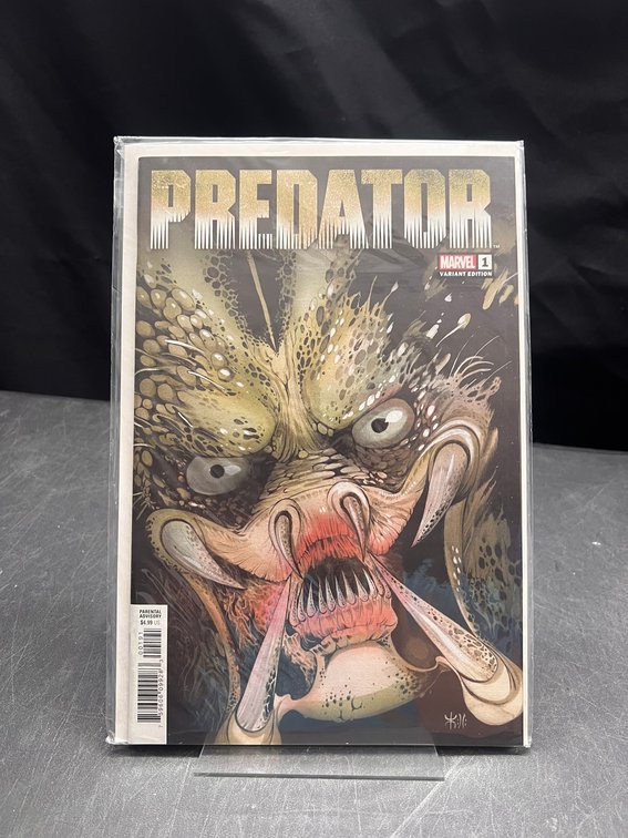 Image for COMICS & COLLECTIBLES - 500+ LOTS - ARTPRINTS, KEYS+