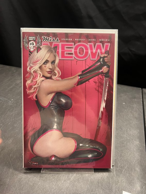 Image for COMICS & COLLECTIBLES - 500+ LOTS