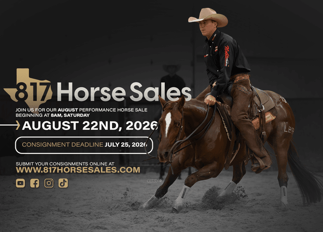 Image for 2026 August Performance Horse Sale