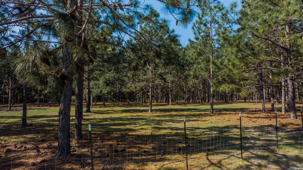 Image for The Rocky Ford Retreat - 33.62+/- Acre Recreational Tract with Improvements