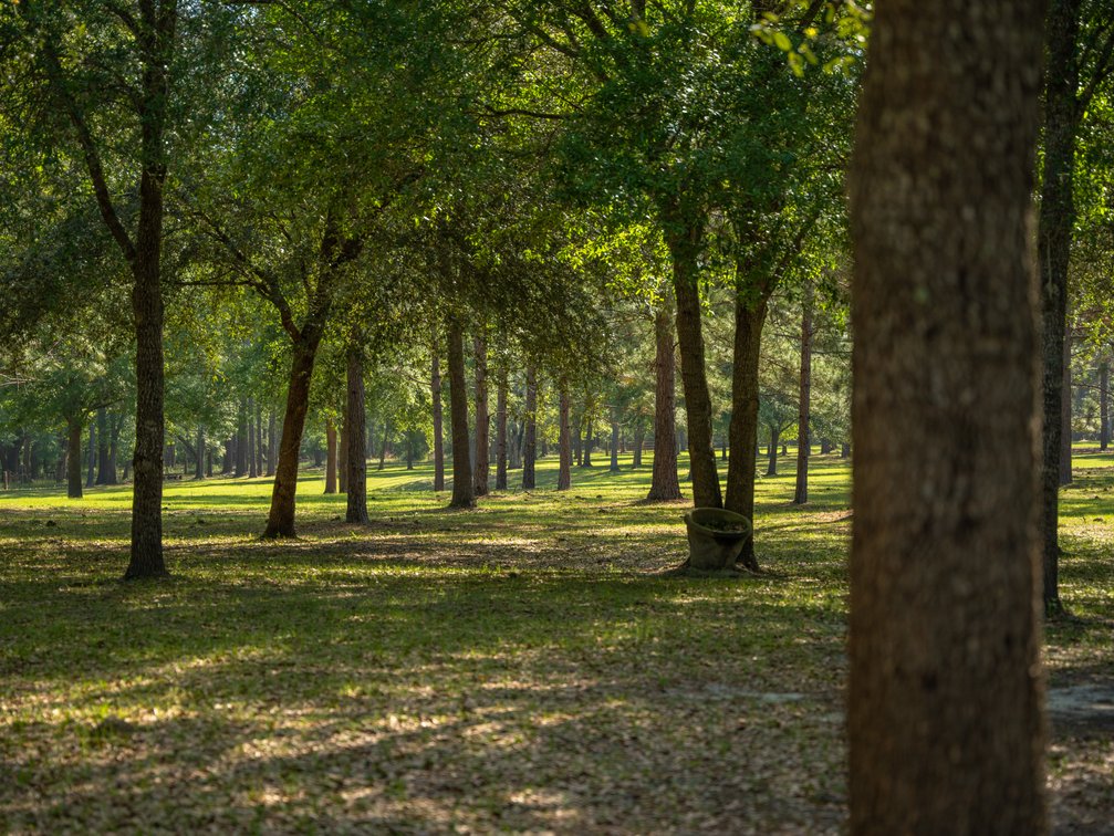 Image for The Rocky Ford Retreat - 33.62+/- Acre Recreational Tract with Improvements