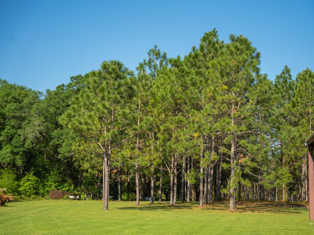 Image for The Rocky Ford Retreat - 33.62+/- Acre Recreational Tract with Improvements