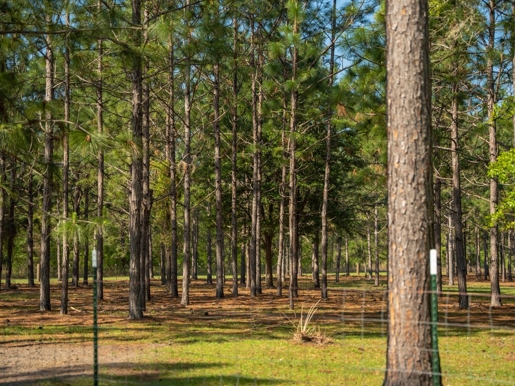 Image for The Rocky Ford Retreat - 33.62+/- Acre Recreational Tract with Improvements