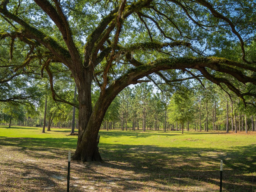 Image for The Rocky Ford Retreat - 33.62+/- Acre Recreational Tract with Improvements