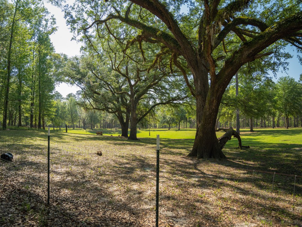 Image for The Rocky Ford Retreat - 33.62+/- Acre Recreational Tract with Improvements