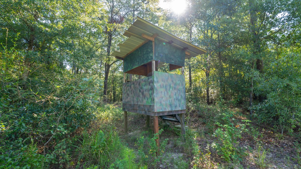 Image for 602+/- Acres - Hardwick Place - Henry County, AL