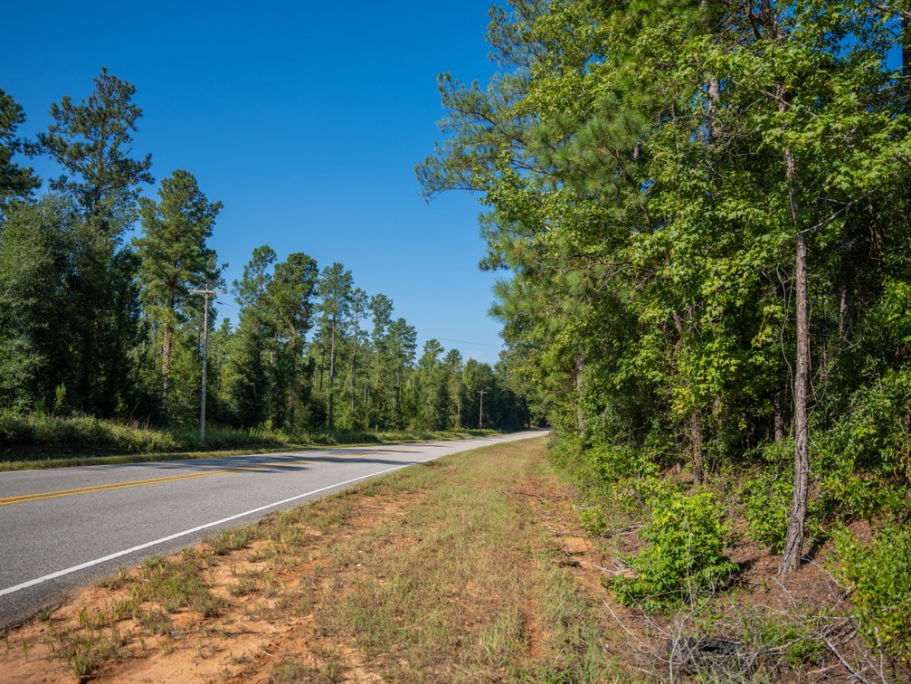 Image for 602+/- Acres - Hardwick Place - Henry County, AL