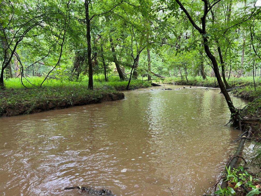 Image for 220+/- Acres - Camp Creek Place - Macon County, GA