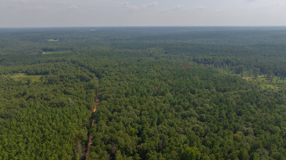 Image for 220+/- Acres - Camp Creek Place - Macon County, GA