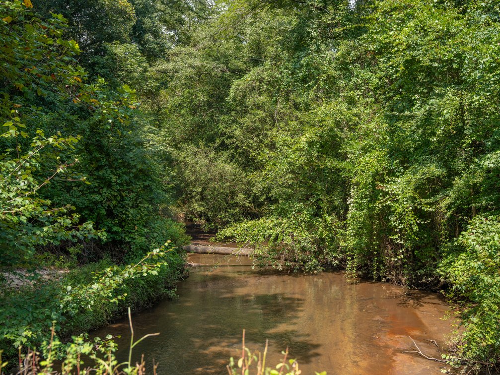 Image for 220+/- Acres - Camp Creek Place - Macon County, GA