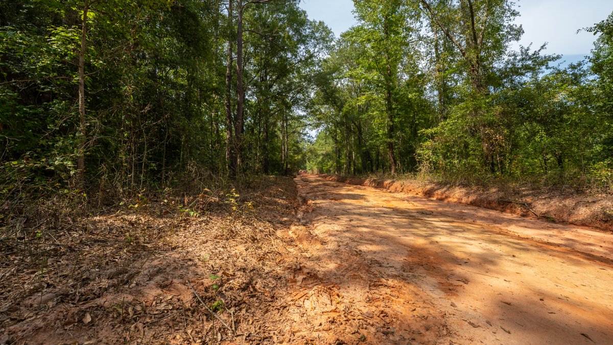 Image for 220+/- Acres - Camp Creek Place - Macon County, GA
