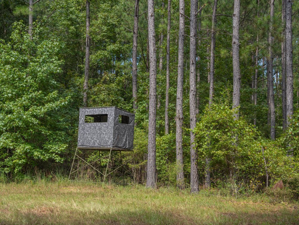 Image for 220+/- Acres - Camp Creek Place - Macon County, GA
