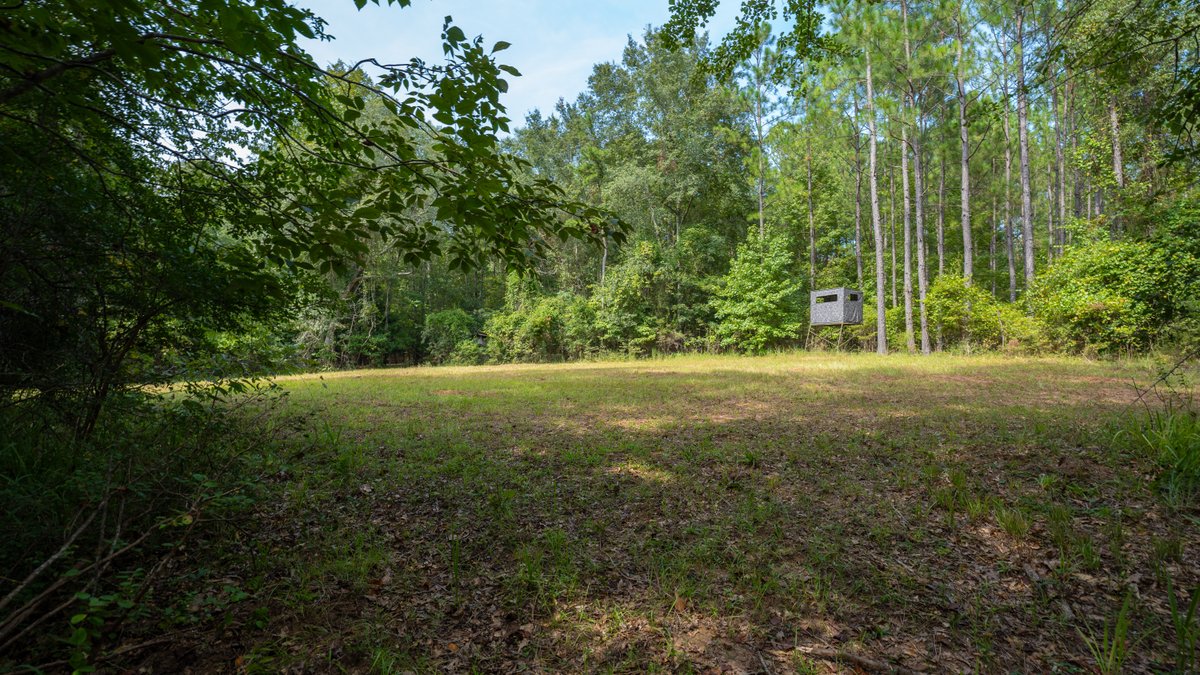 Image for 220+/- Acres - Camp Creek Place - Macon County, GA