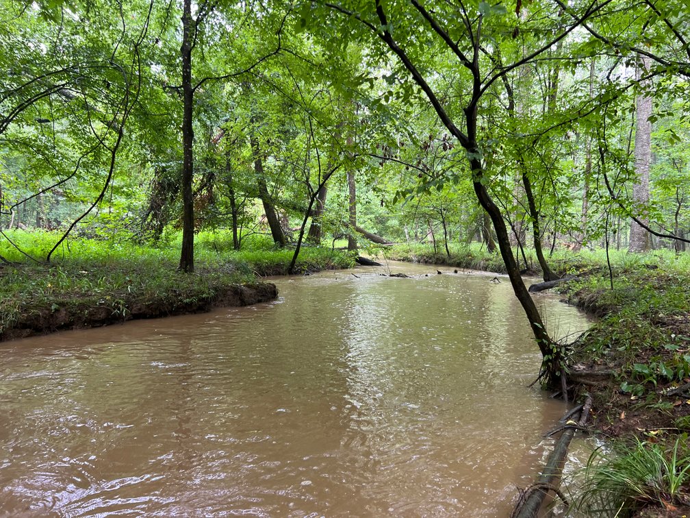 Image for 220+/- Acres - Camp Creek Place - Macon County, GA