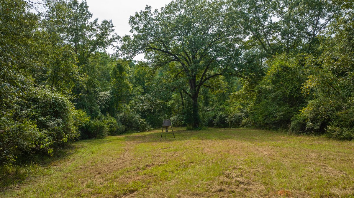 Image for 220+/- Acres - Camp Creek Place - Macon County, GA