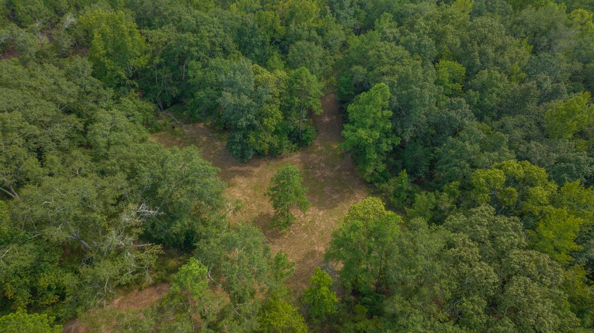 Image for 220+/- Acres - Camp Creek Place - Macon County, GA