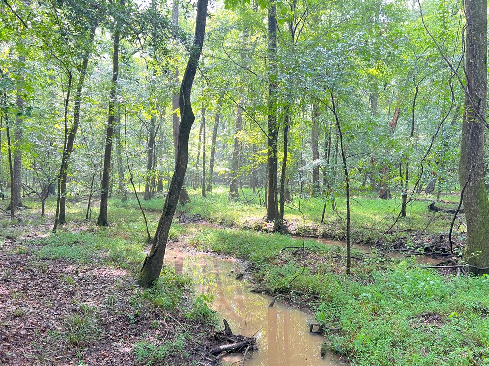 Image for 220+/- Acres - Camp Creek Place - Macon County, GA