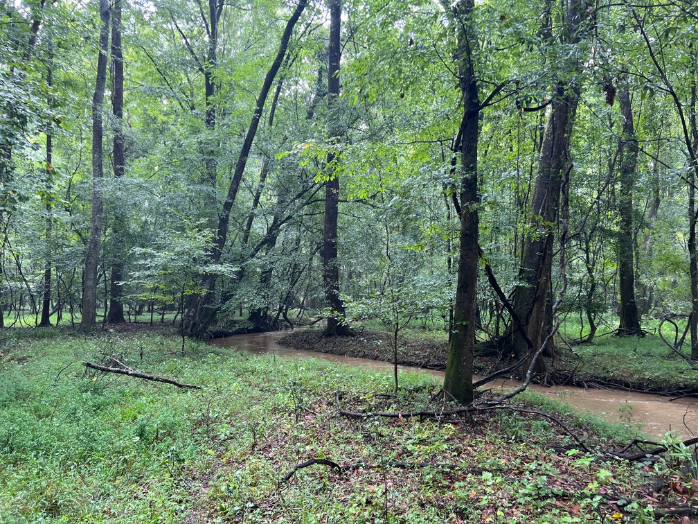 Image for 220+/- Acres - Camp Creek Place - Macon County, GA