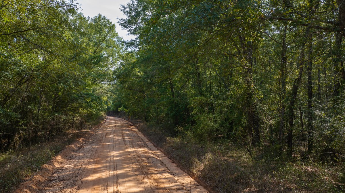 Image for 220+/- Acres - Camp Creek Place - Macon County, GA