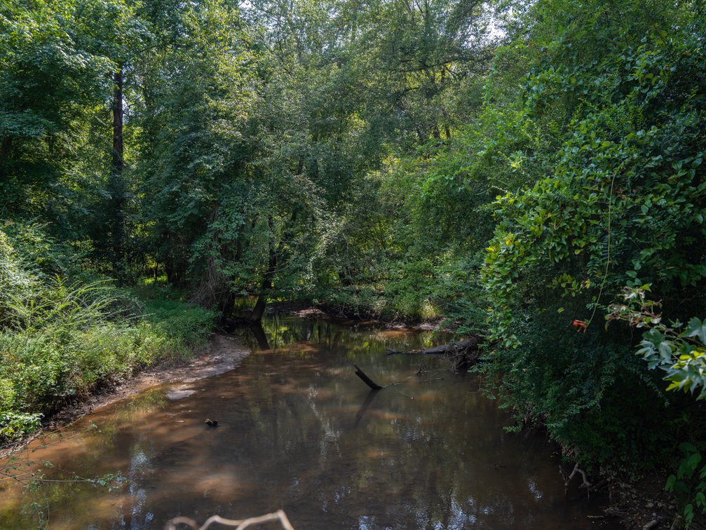 Image for 220+/- Acres - Camp Creek Place - Macon County, GA