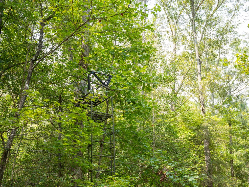Image for 220+/- Acres - Camp Creek Place - Macon County, GA